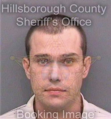 Ribic Emanuel - Hillsborough County, FL 