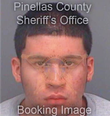 Perezleal Erik - Pinellas County, FL 