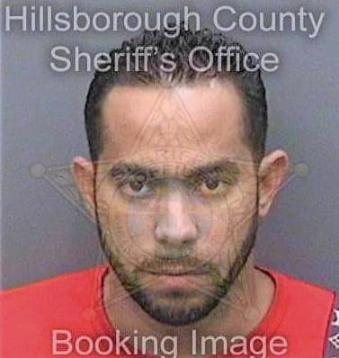 Bolanodelgado Javier - Hillsborough County, FL 