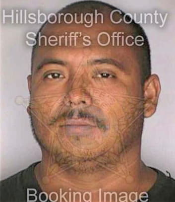 Martinezflores Jose - Hillsborough County, FL 