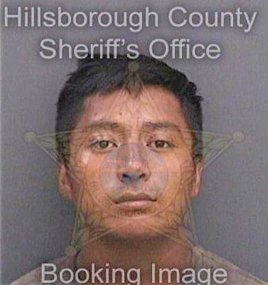 Perezgomez Luis - Hillsborough County, FL 