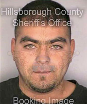 Gonzalez David - Hillsborough County, FL 