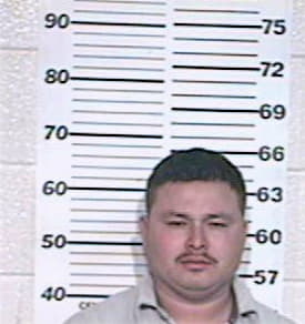 Hernandez Jose - Hidalgo County, TX 