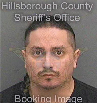 Gutierrez Marco - Hillsborough County, FL 