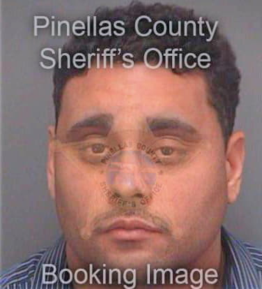 Leon Sergio - Pinellas County, FL 