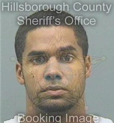 Merkerson Curtis - Hillsborough County, FL 