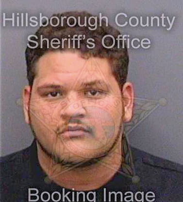 Velazquez David - Hillsborough County, FL 