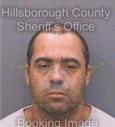 Millanencarnacion Hector - Hillsborough County, FL 