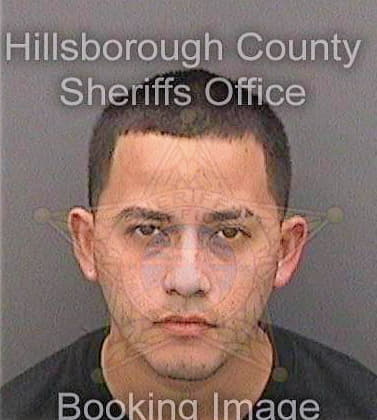 Garcia Carlos - Hillsborough County, FL 