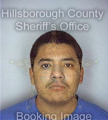 Dominguez David - Hillsborough County, FL 