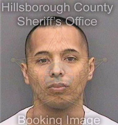 Brenes Victor - Hillsborough County, FL 