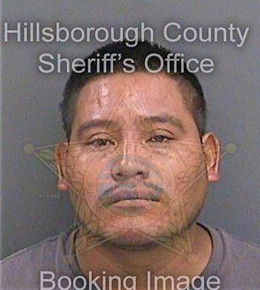 Garcia Amilcar - Hillsborough County, FL 