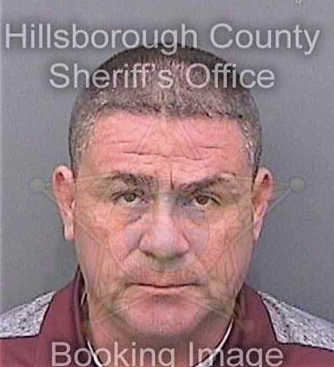 Nieves David - Hillsborough County, FL 