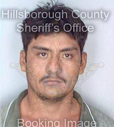 Policarpo Manuel - Hillsborough County, FL 