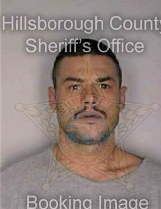 Soto Carlos - Hillsborough County, FL 