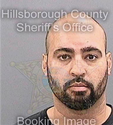 Gonzalez Victor - Hillsborough County, FL 