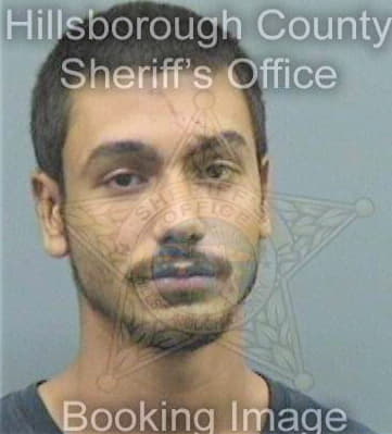 Feliciano Luis - Hillsborough County, FL 