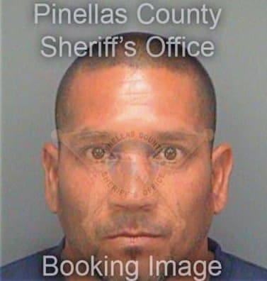 Perez Norberto - Pinellas County, FL 