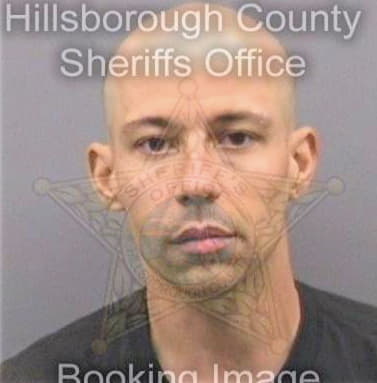 Hammonds David - Hillsborough County, FL 