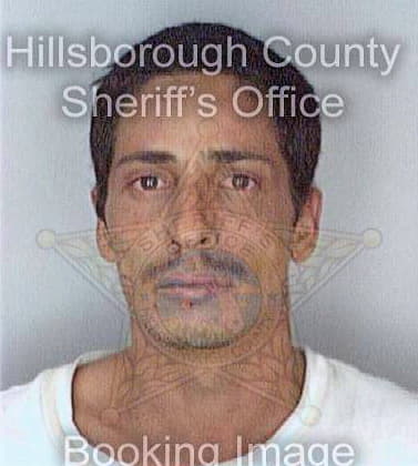 Fragoso Jesus - Hillsborough County, FL 