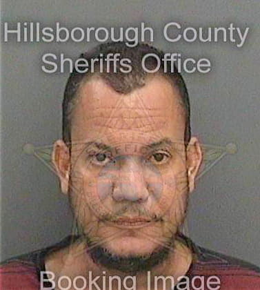 Gonzalez Domingo - Hillsborough County, FL 