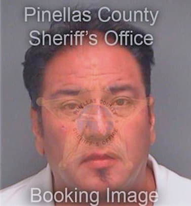 Miranda Jose - Pinellas County, FL 