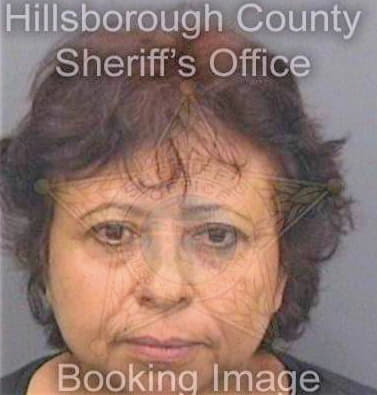 Solis Concepcion - Hillsborough County, FL 