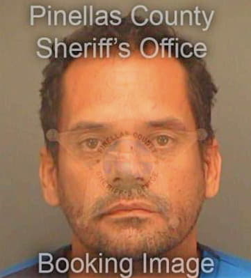 Esteves Fernando - Pinellas County, FL 