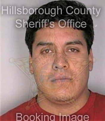 Patino Eduardo - Hillsborough County, FL 