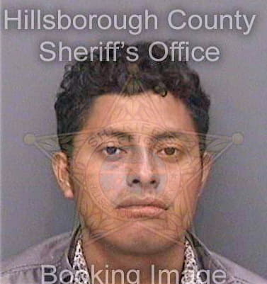 Diazdiaz Roberto - Hillsborough County, FL 