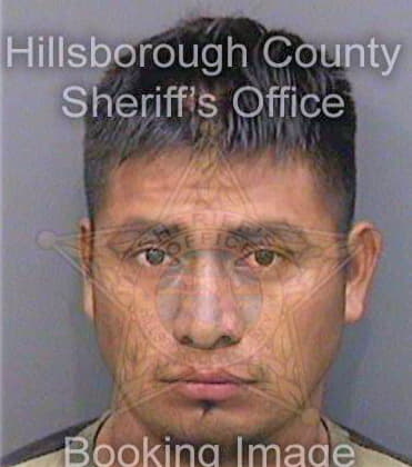 Floresmendoza Antonio - Hillsborough County, FL 