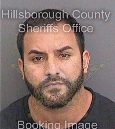 Ginesmunoz Fidel - Hillsborough County, FL 