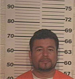 Hernandez Juan - Hidalgo County, TX 