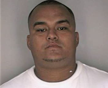 Carmona Marlon - Hillsborough County, FL 