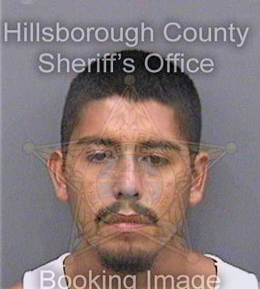 Torres Jorge - Hillsborough County, FL 