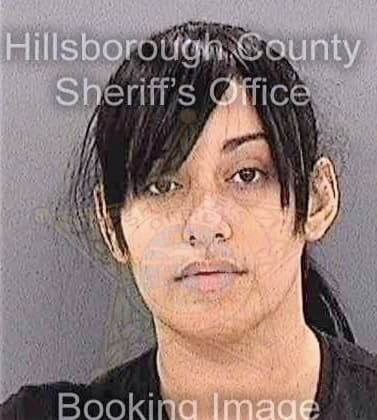 Perezfernandez Samady - Hillsborough County, FL 