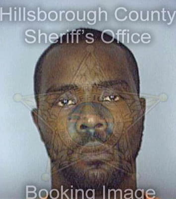 Braggs Reginald - Hillsborough County, FL 