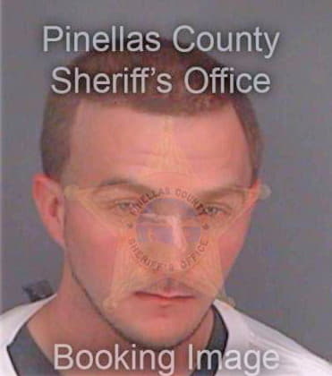 Toman Bryan - Pinellas County, FL 