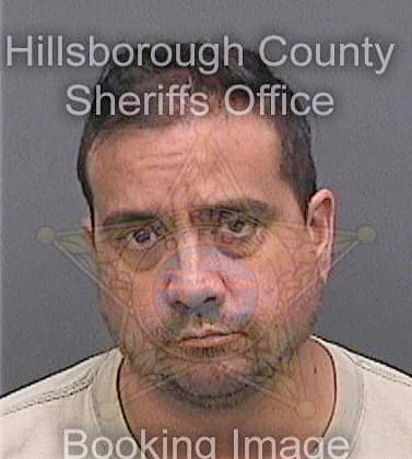 Mann Myron - Hillsborough County, FL 