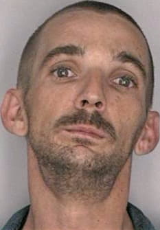 Mcginnis Thomas - Hillsborough County, FL 