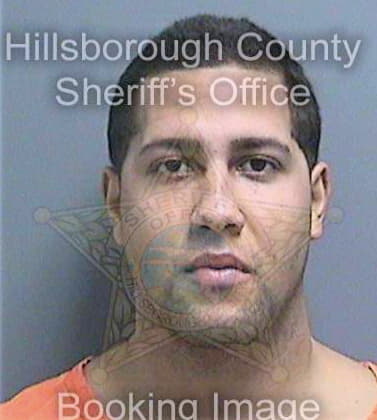 Costasmiranda Jesus - Hillsborough County, FL 