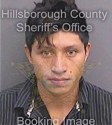 Delacruzlopez Eduardo - Hillsborough County, FL 