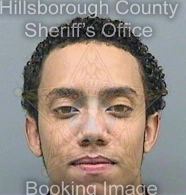 Sanchez Edwin - Hillsborough County, FL 