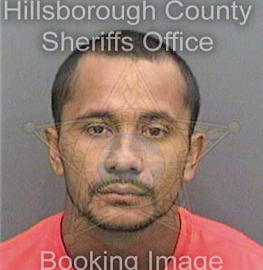 Saldiernachavez Jose - Hillsborough County, FL 