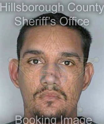 Guerrero Jose - Hillsborough County, FL 