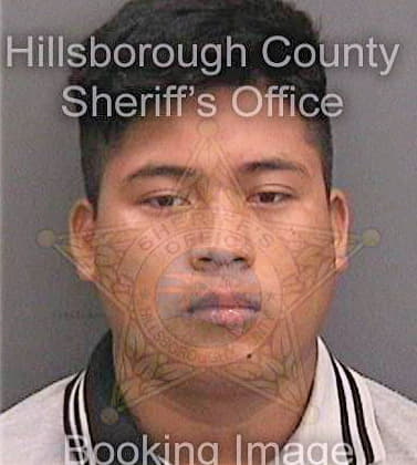 Perez Nelson - Hillsborough County, FL 