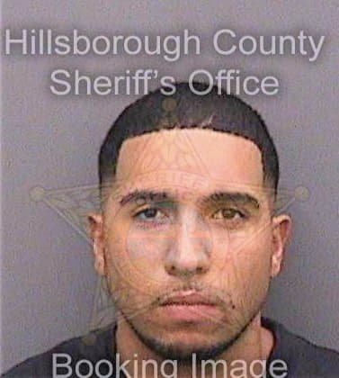 Gutierrez Marco - Hillsborough County, FL 