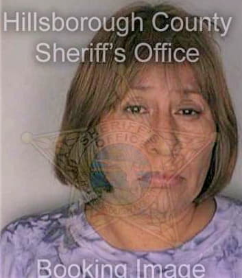 Medicinebear Melody - Hillsborough County, FL 