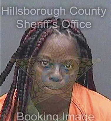 Fesser Shermecia - Hillsborough County, FL 