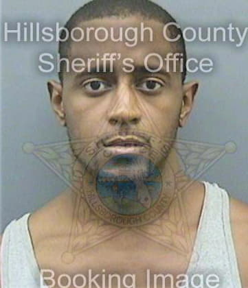 Pearson Vernon - Hillsborough County, FL 